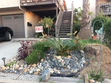 Residential front yard landscaping with plants